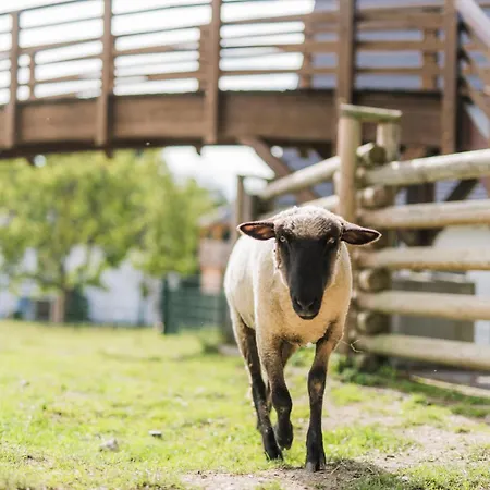 Hof Koehne - Altes - Jagdwohnung * 施马伦贝格