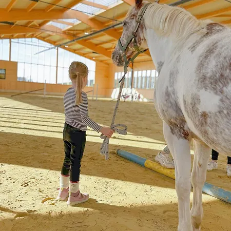 公寓 Hof Koehne - Altes - Jagdwohnung 施马伦贝格