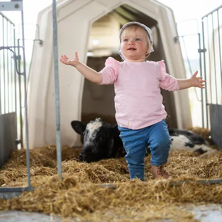 Hof Koehne - Altes - Jagdwohnung 施马伦贝格