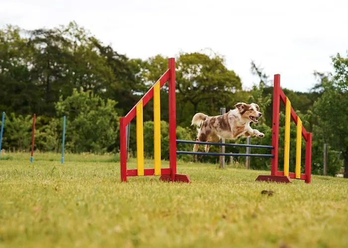 Hof Koehne - Altes - Jagdwohnung Appartement