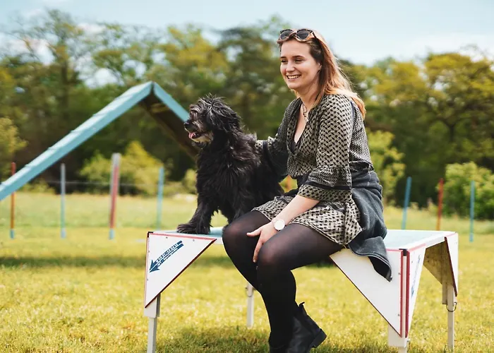 Hof Koehne - Altes - Jagdwohnung Appartement Schmallenberg