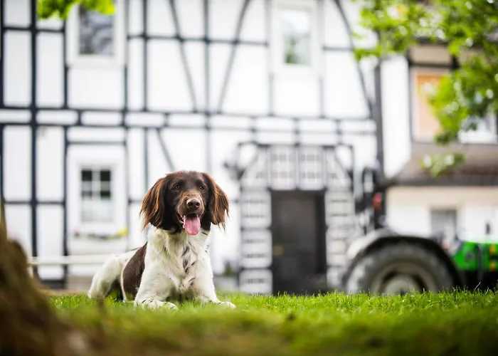 Appartement Hof Koehne - Altes - Jagdwohnung Schmallenberg