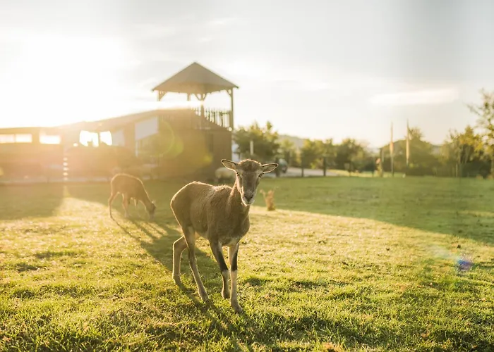 Hof Koehne - Altes - Jagdwohnung Appartement Schmallenberg