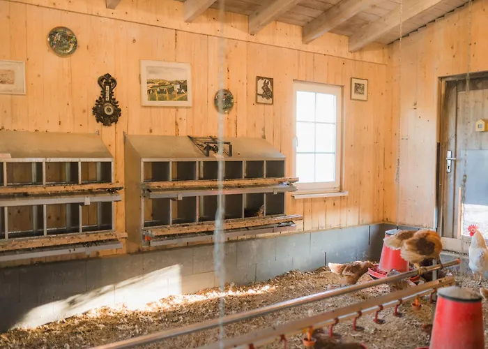 Appartement Hof Koehne - Altes - Jagdwohnung