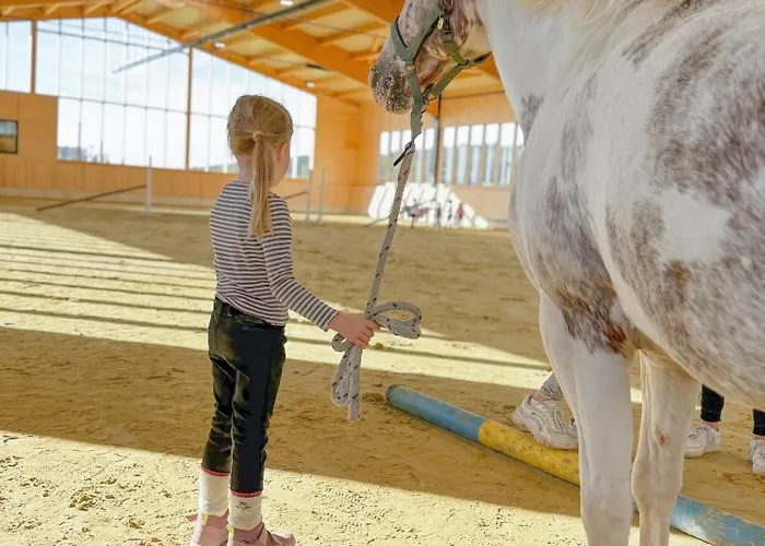 Appartement Hof Koehne - Altes - Jagdwohnung Schmallenberg